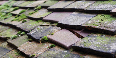 Landican roof repair costs